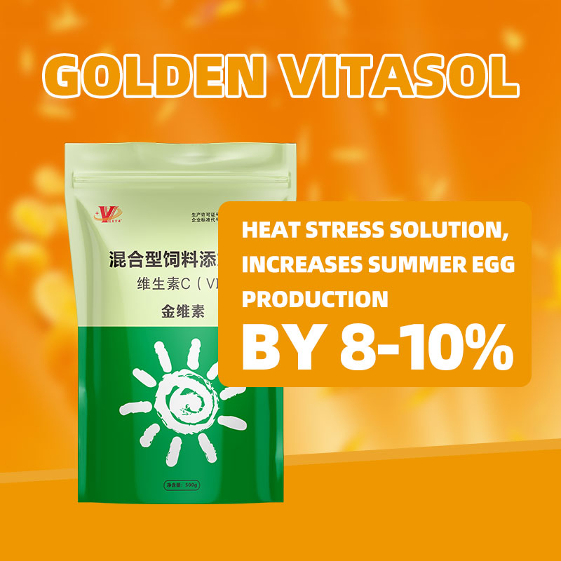 Golden Vitasol Complete Vitamin &amp; Mineral Blend for Pets and People