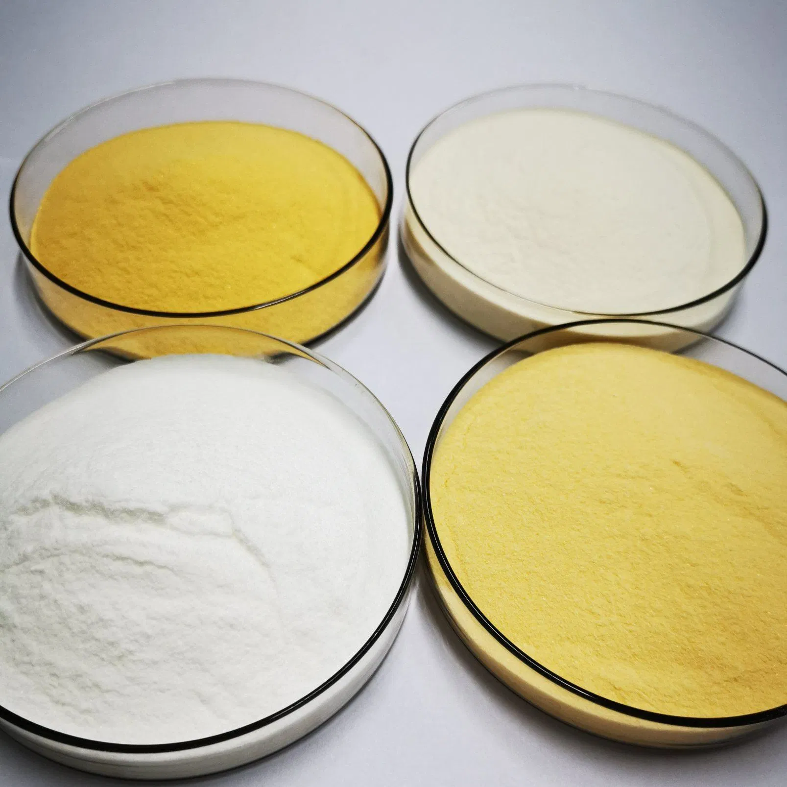 Nutrient-Rich Calcium, Iron, and Zinc Biscuit for Seniors