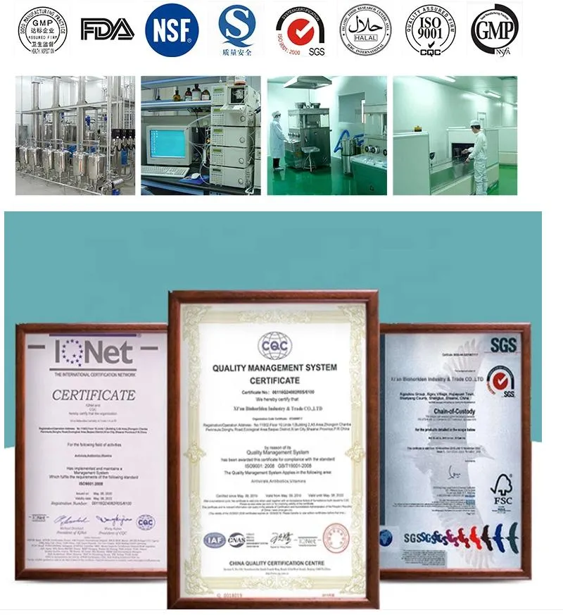 Quality Certifications