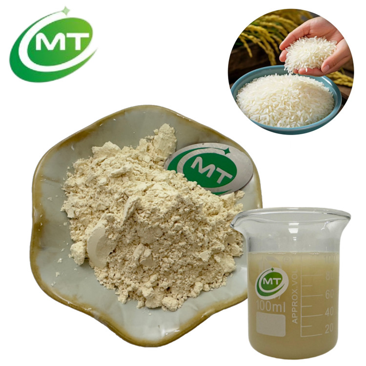 High Quality Herbal Extract Plant-Based Protein Hydrolyzed Rice Protein Powder