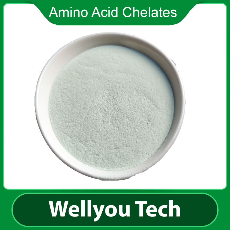 Plant-Based Amino Acid Fertilizer Promote Growth &amp; Yield Improvement