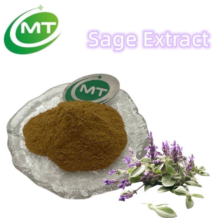 Free Sample Natural Antioxidant Herbal Extract Salvia Officinalis Cognitive Support Sage Extract