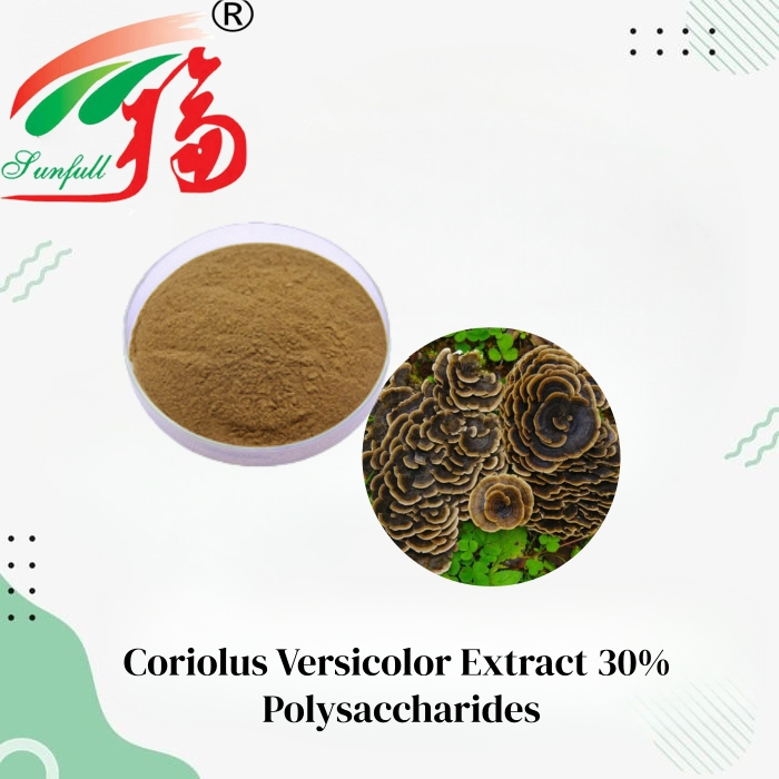 Coriolus Versicolor Extract Powder 30% Polysaccharides