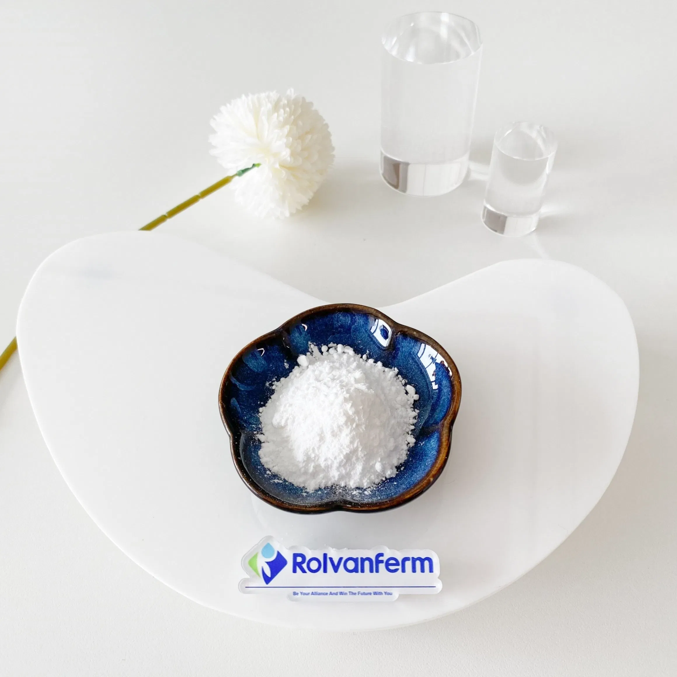 High-Bioavailability Liposome Dihydromyricetin for Antioxidant Support and Functional Nutrition Applications