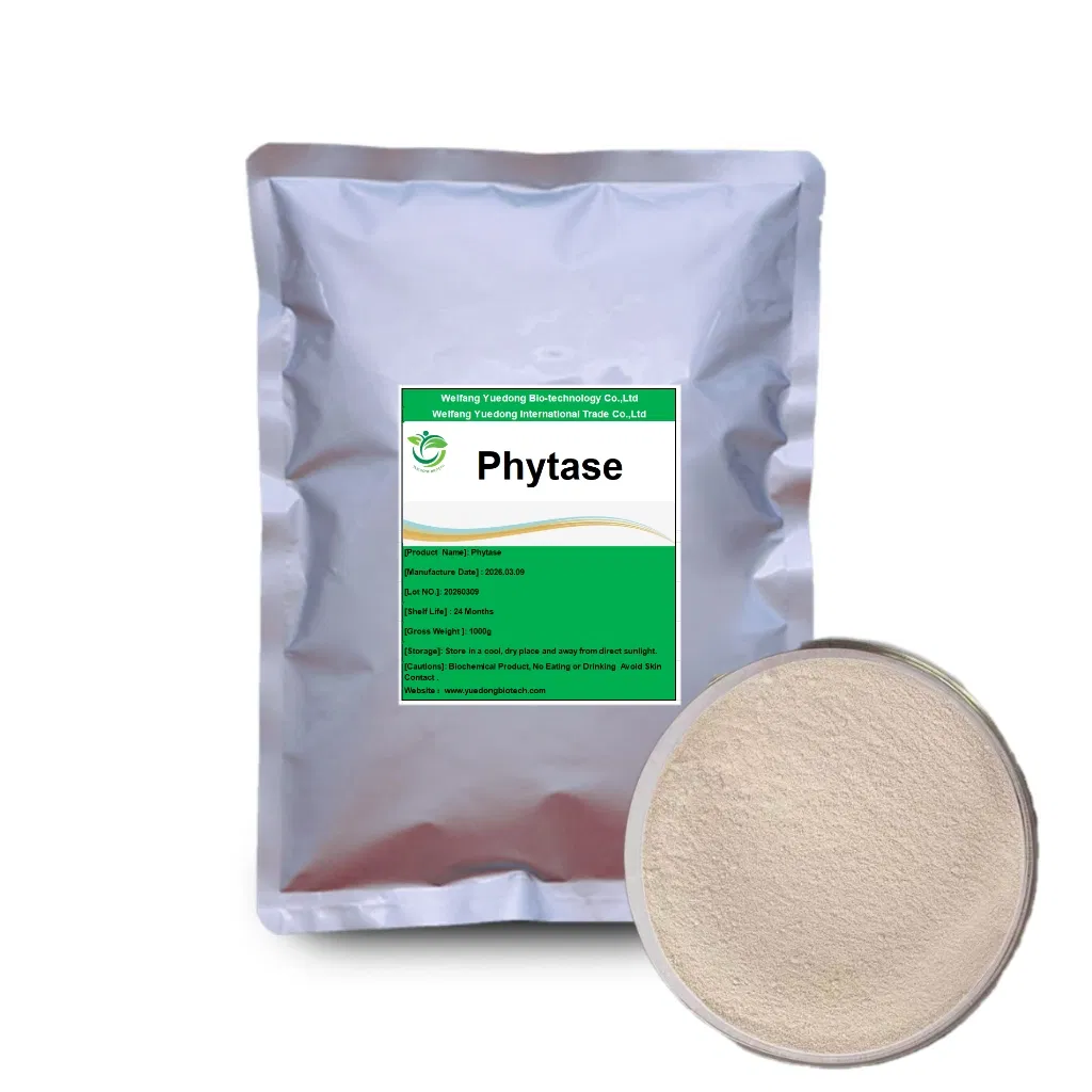 Food Grade Thermostable Phytase Enzyme Powder for Food Feed Industry