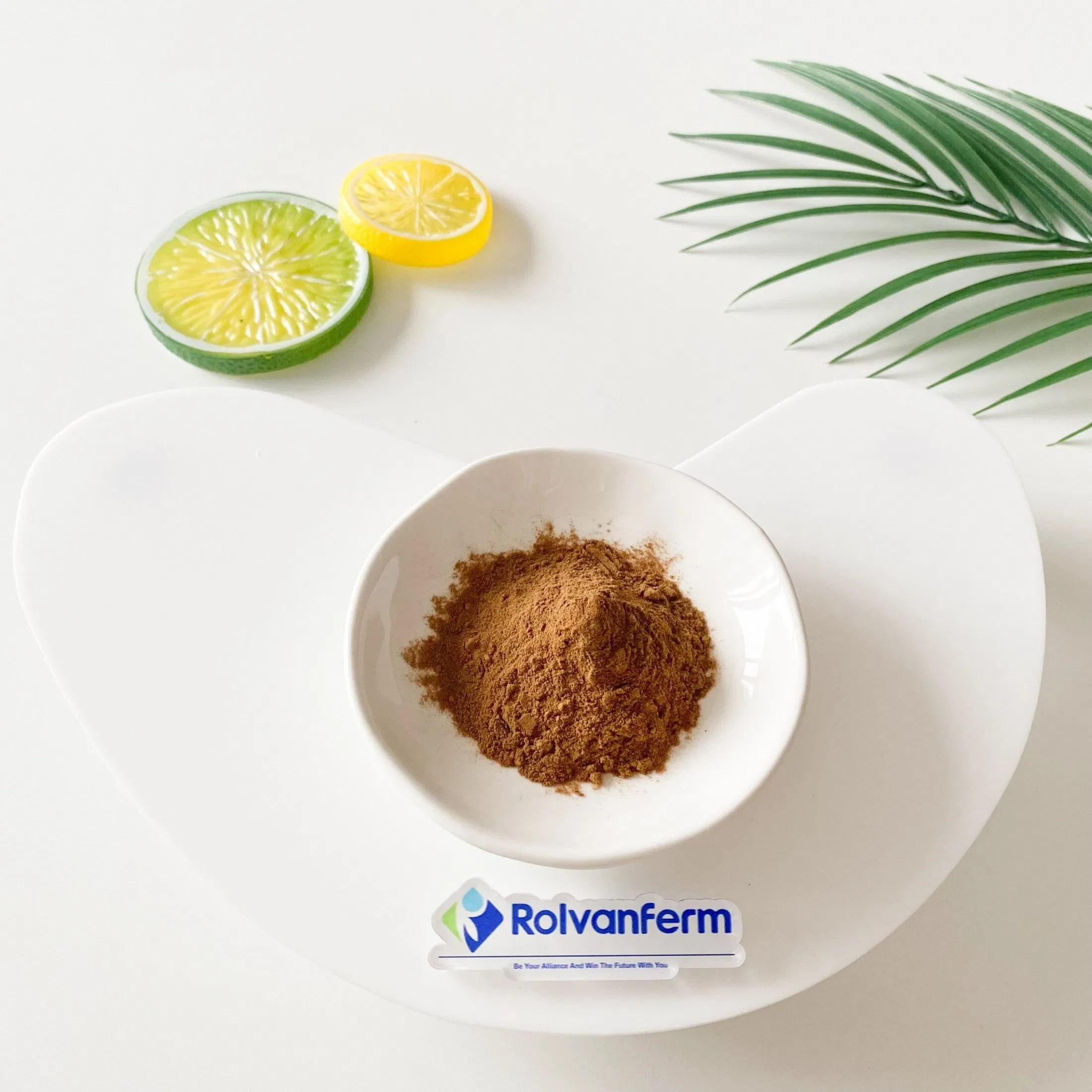 Salvia Plebeia Extract Rich in Flavonoids and Polyphenols for Botanical and Nutraceutical Applications