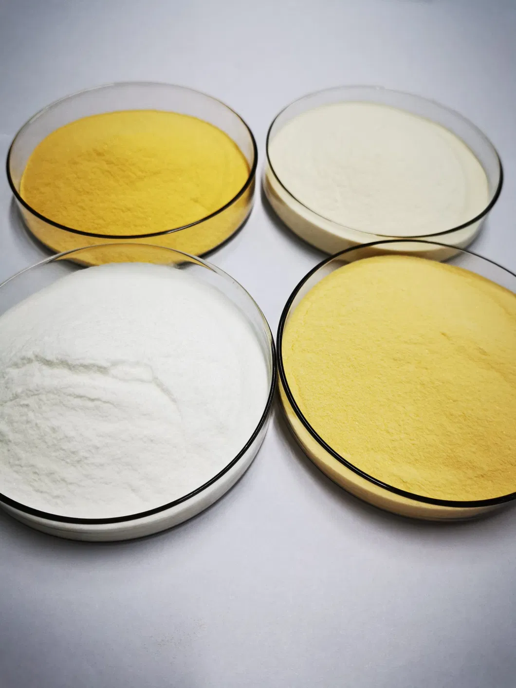 Nutrient-Rich Biscuit Solution 2