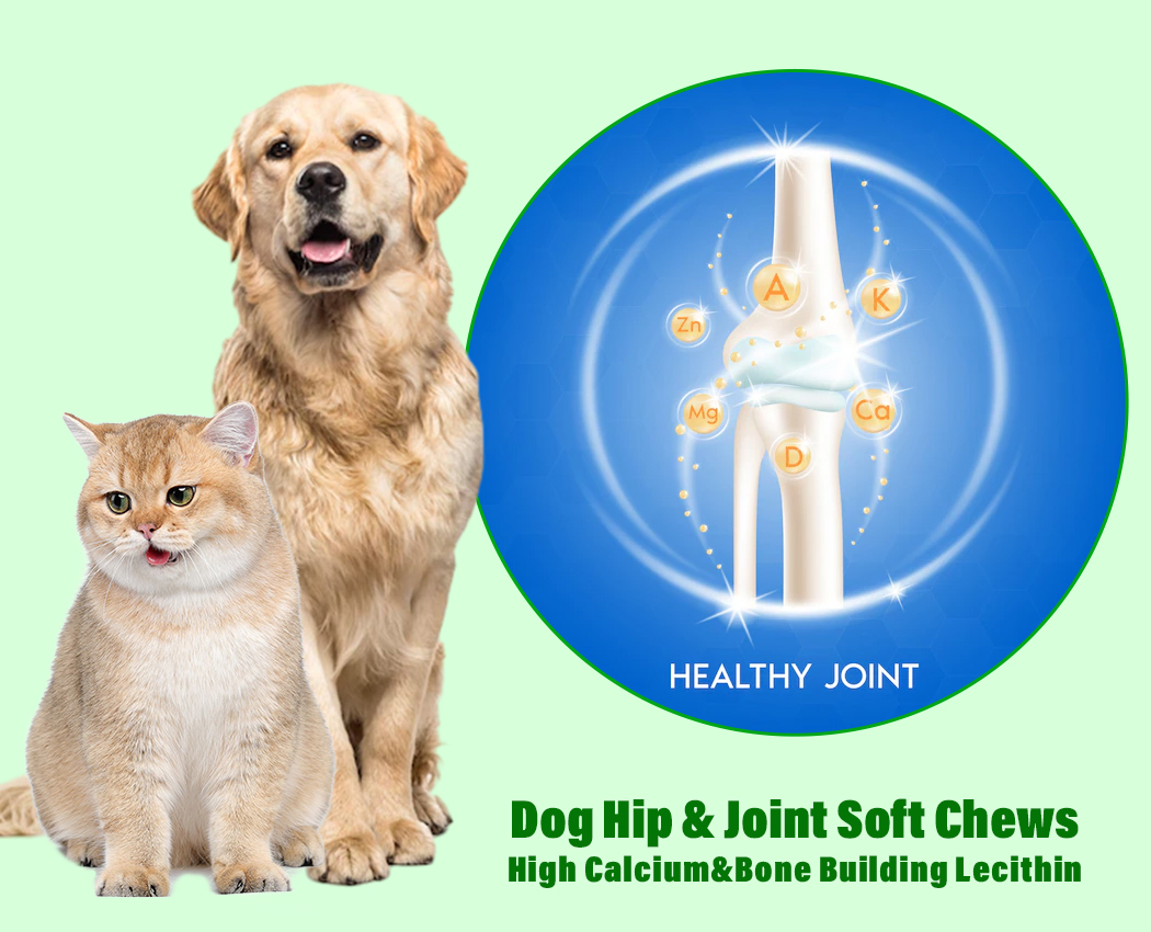 Canine Joint Support Mobility Support with Glucosamine Chondroitin Pet Dog Dietary Supplement Msm Chewable Bites