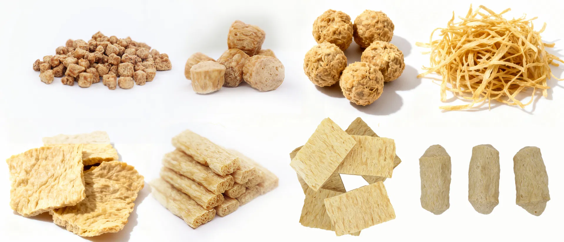 Soy Protein Application