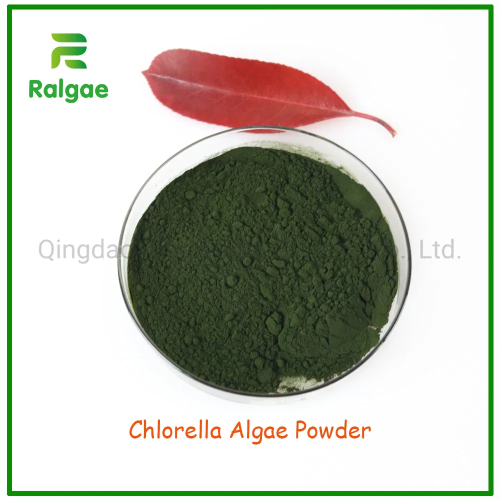Feed Grade Chlorella Powder Anima Nutrition Supplement Chlorella