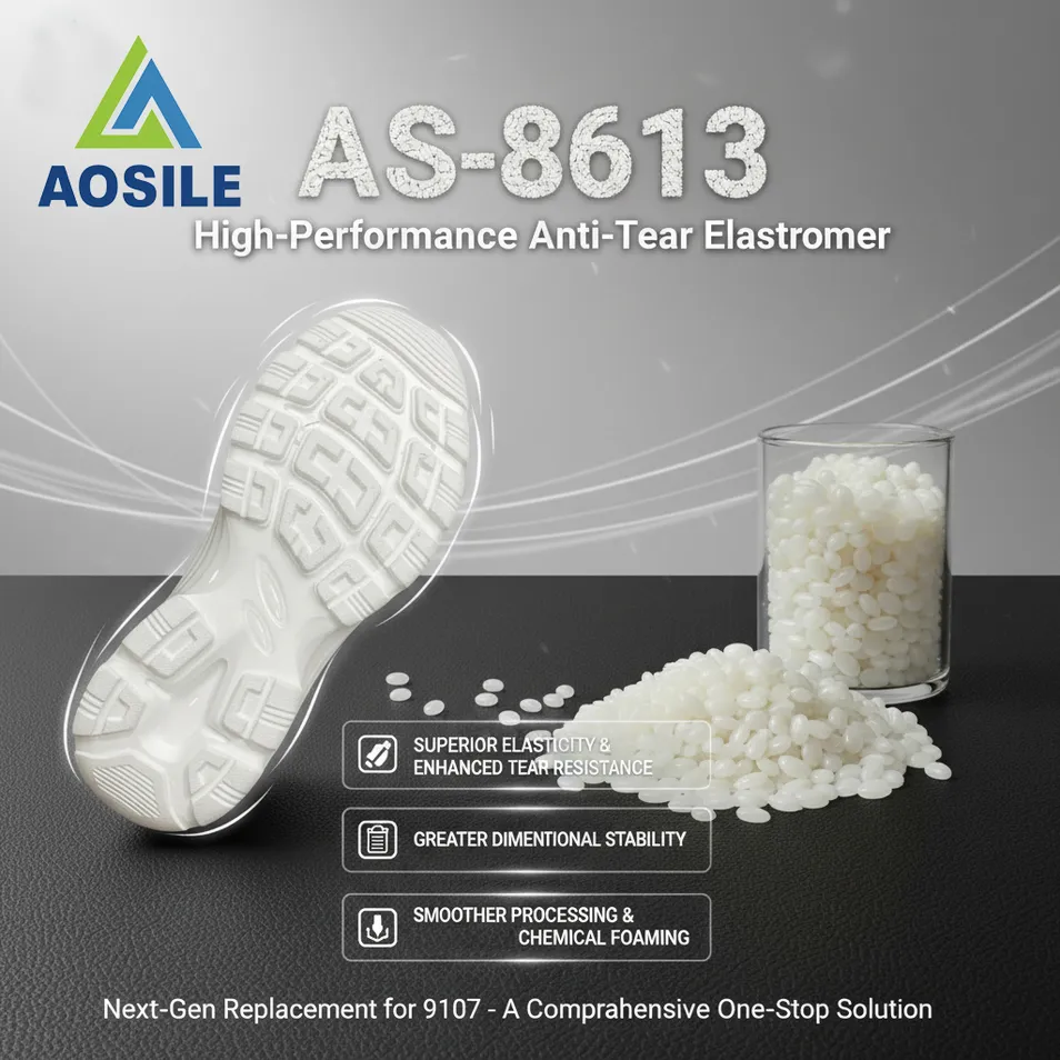 EVA Sole Application