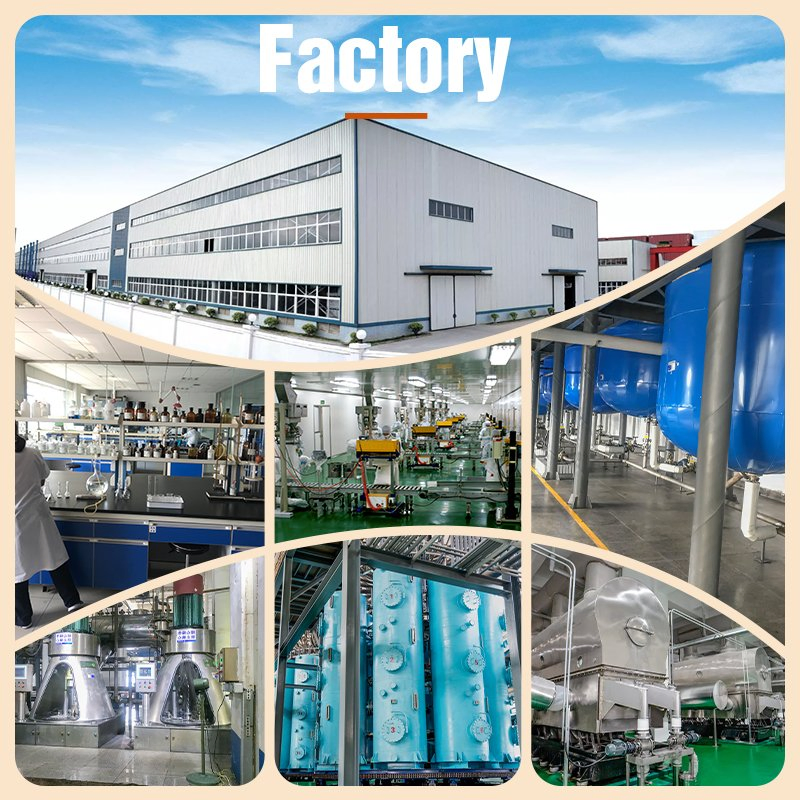 Yeast Proteinfood Grade Sports Nutrition Yeast Protein 75% 80% Yeast Protein Powder