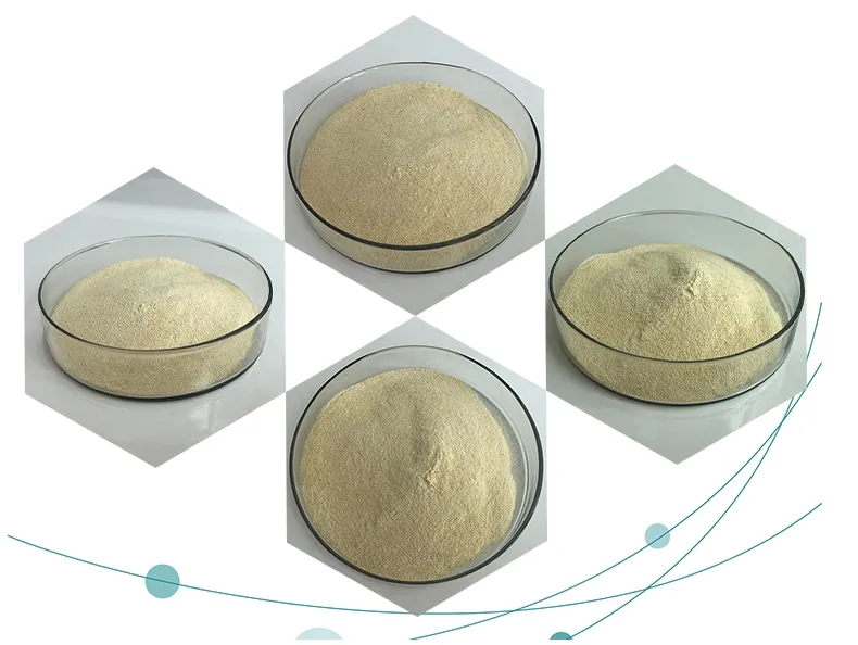 Phytase Enzyme Powder