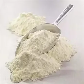 Pea Protein Powder Sample