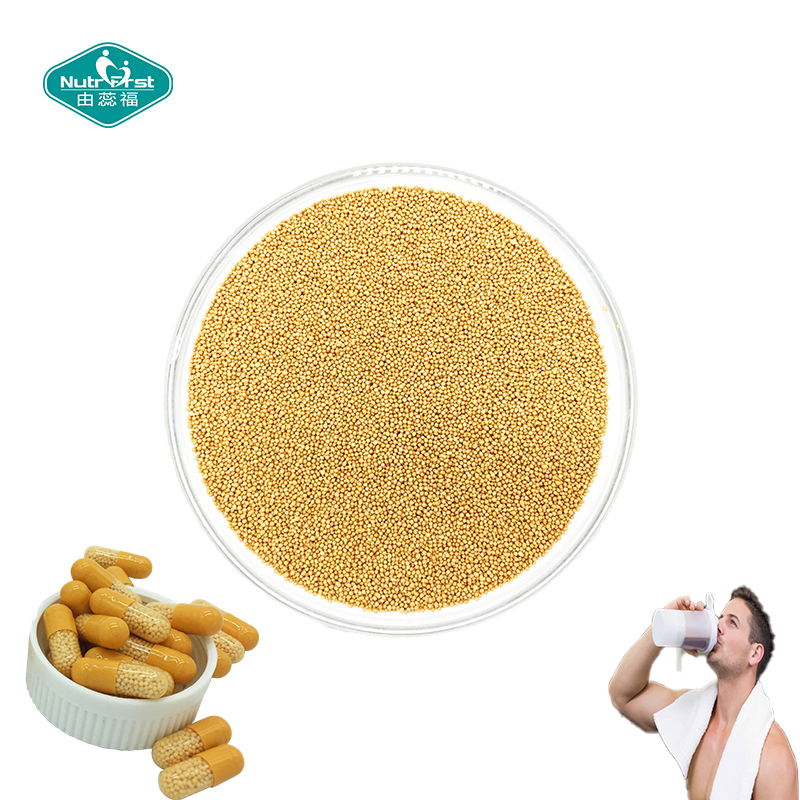 OEM Cat's Claw Extract Sustained Release Micro Pellet Capsule Anti-Inflammatory and Antibacterial Supports Immune Health Supplier