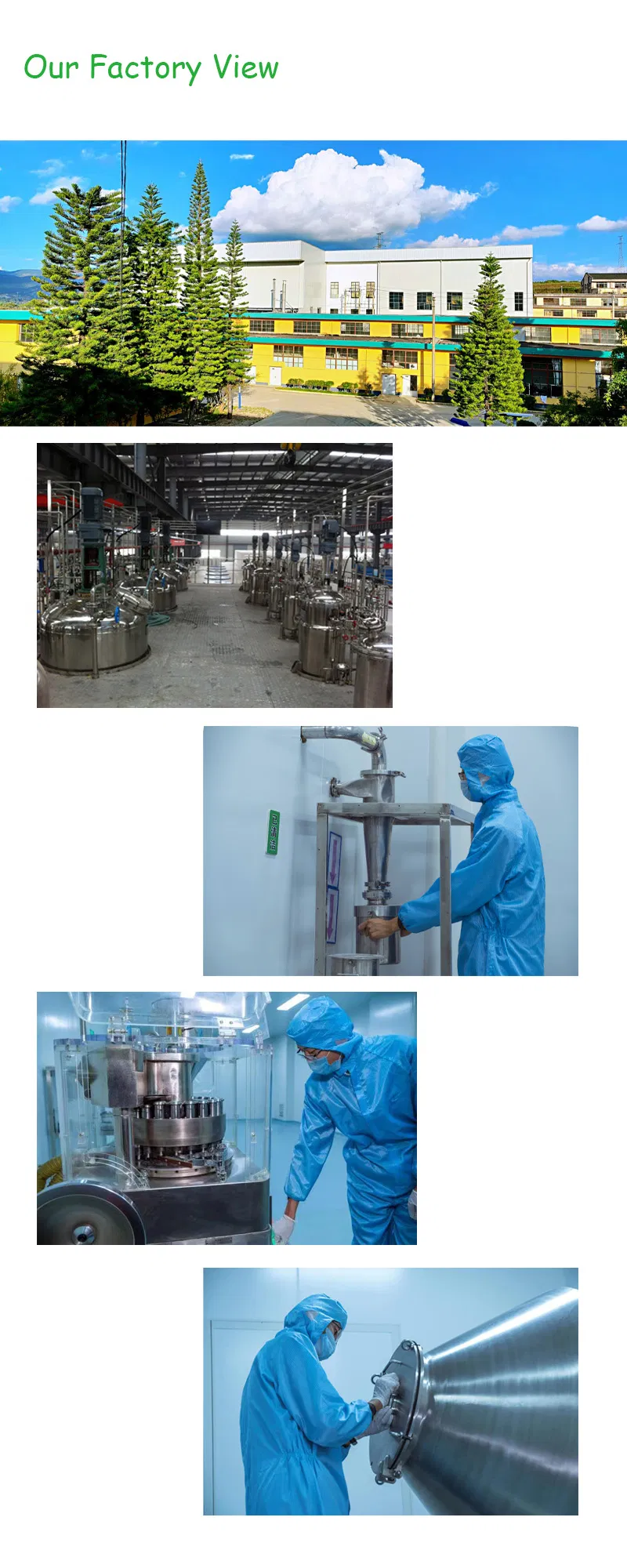 Factory Production Line