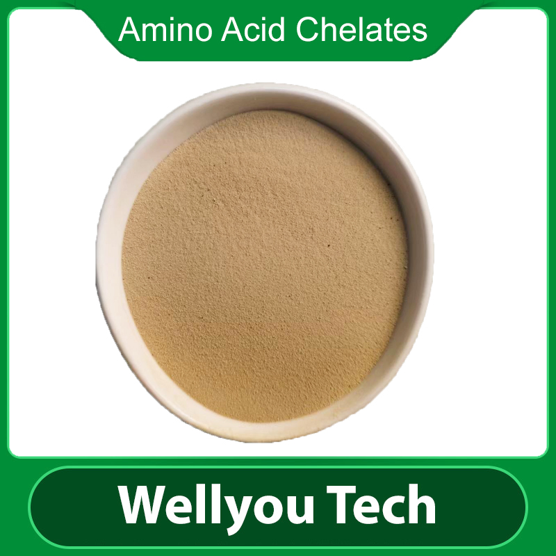 Plant-Based Amino Acid Fertilizer Promote Growth &amp; Yield Improvement