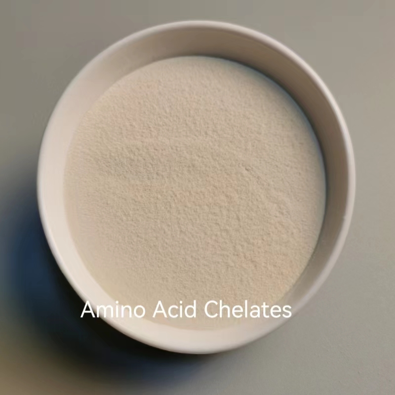 Plant-Based Amino Acid Fertilizer Promote Growth &amp; Yield Improvement