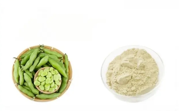 Easy-Mix Fava Bean Powder for Muscle Support and Sports Nutrition