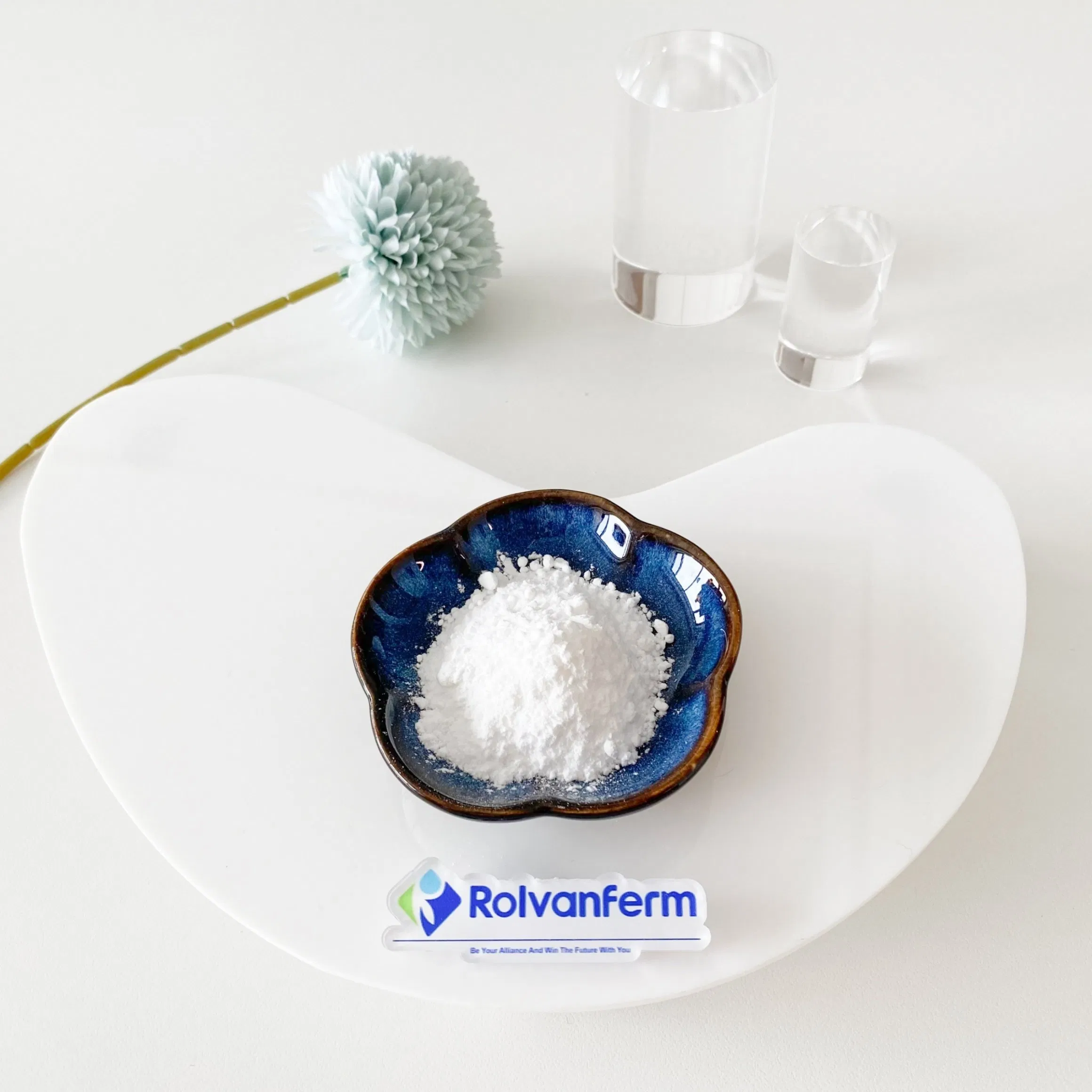 High-Bioavailability Liposome Vitamin C for Immune Support and Functional Nutrition Applications