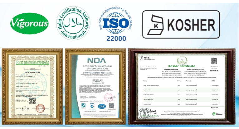 Factory Supply High Quality 20%Lignans (SDG) Flaxseed Extract