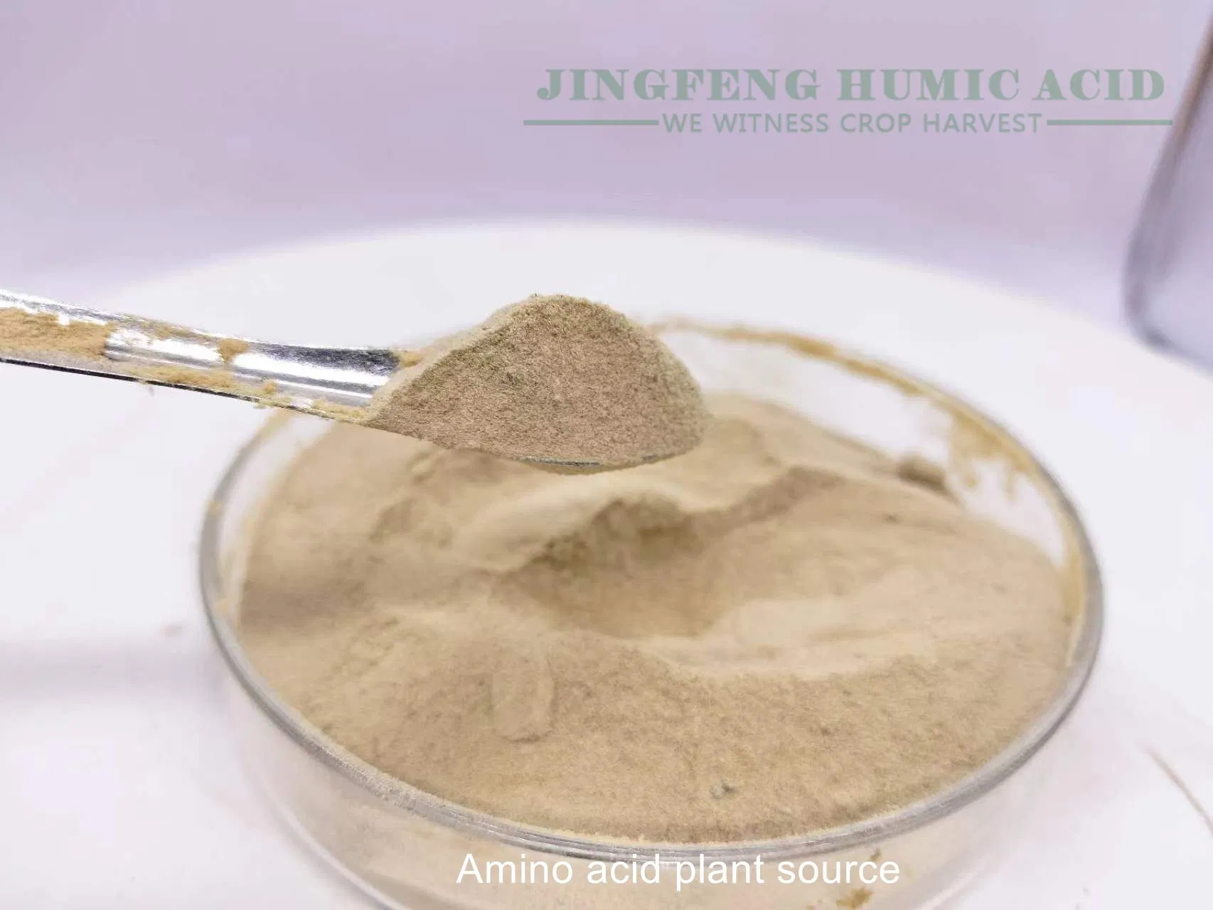 Compound Animal Source Amino Acid Organic Matter 70% Yellow Powder