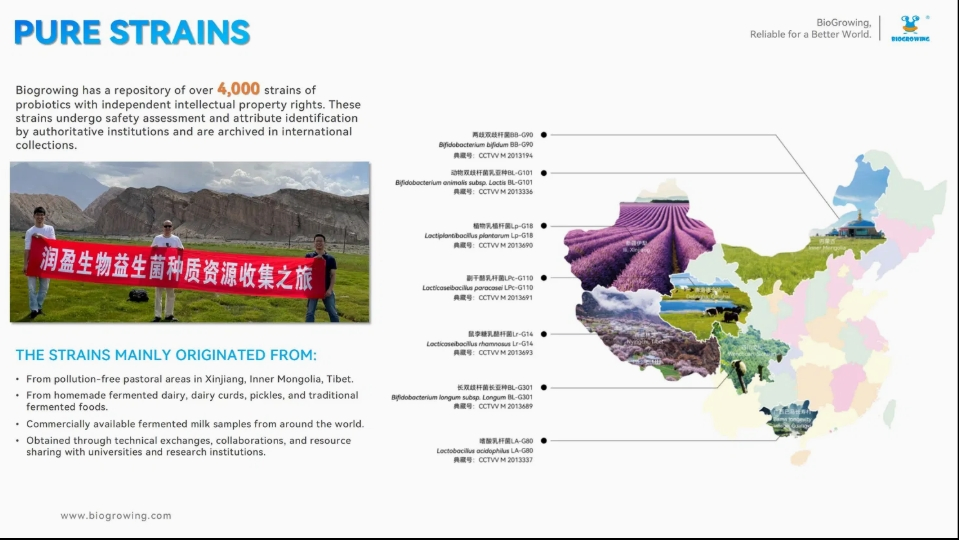 Guidelines Support Probiotic Strains Genetic Identification Functional Food Gut Health