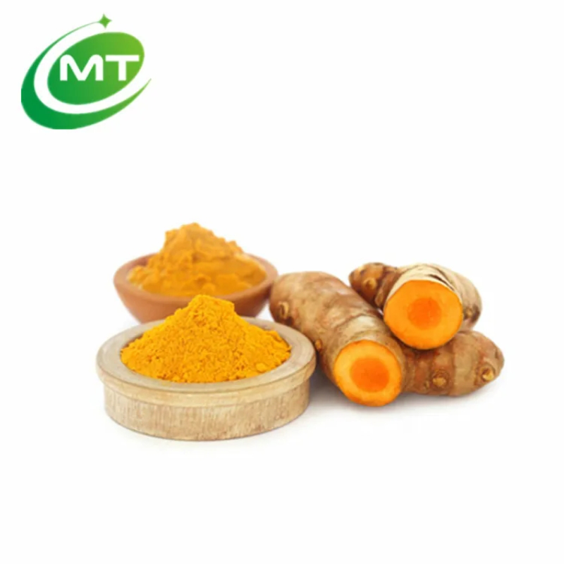 Food Grade Supplement Curcumin Turmeric Root Extract Powder Natural Curcuma Longa Extract