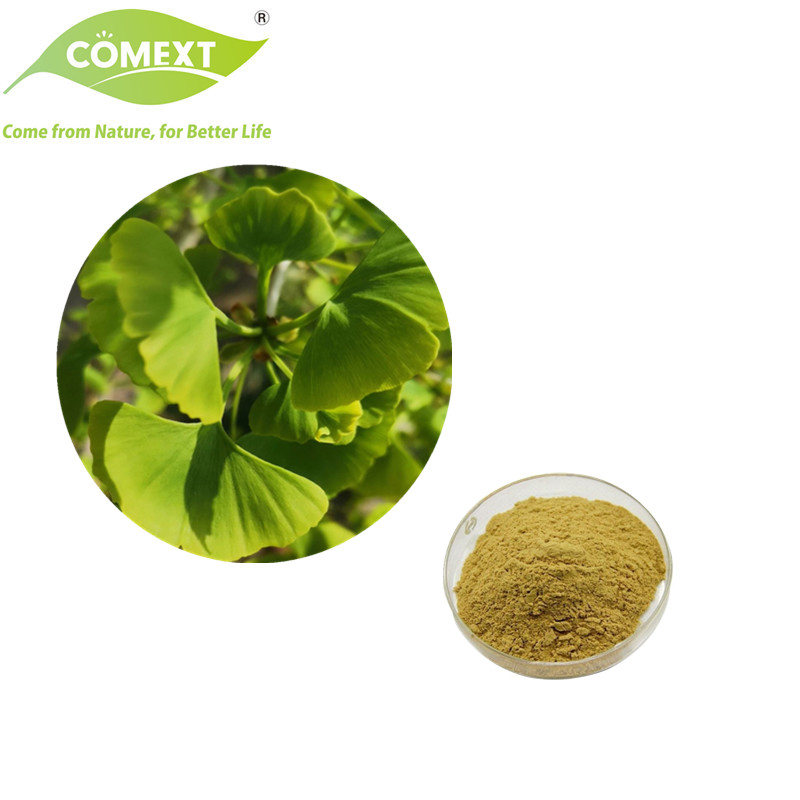 Comext Manufacturer Nutraceutical Plant Herbal Extract Powder Ginkgo Biloba Leaf Extract