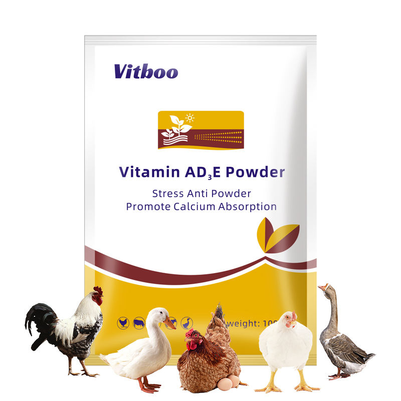 OEM Factory Vitamin Ad3e Water Soluble Powder Supply Vitamins Improve Eggshell Hardness