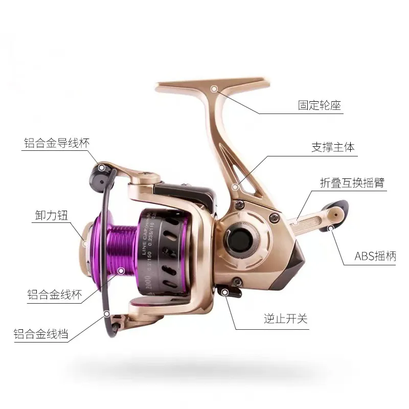 Outdoor Spinning Wheel 2