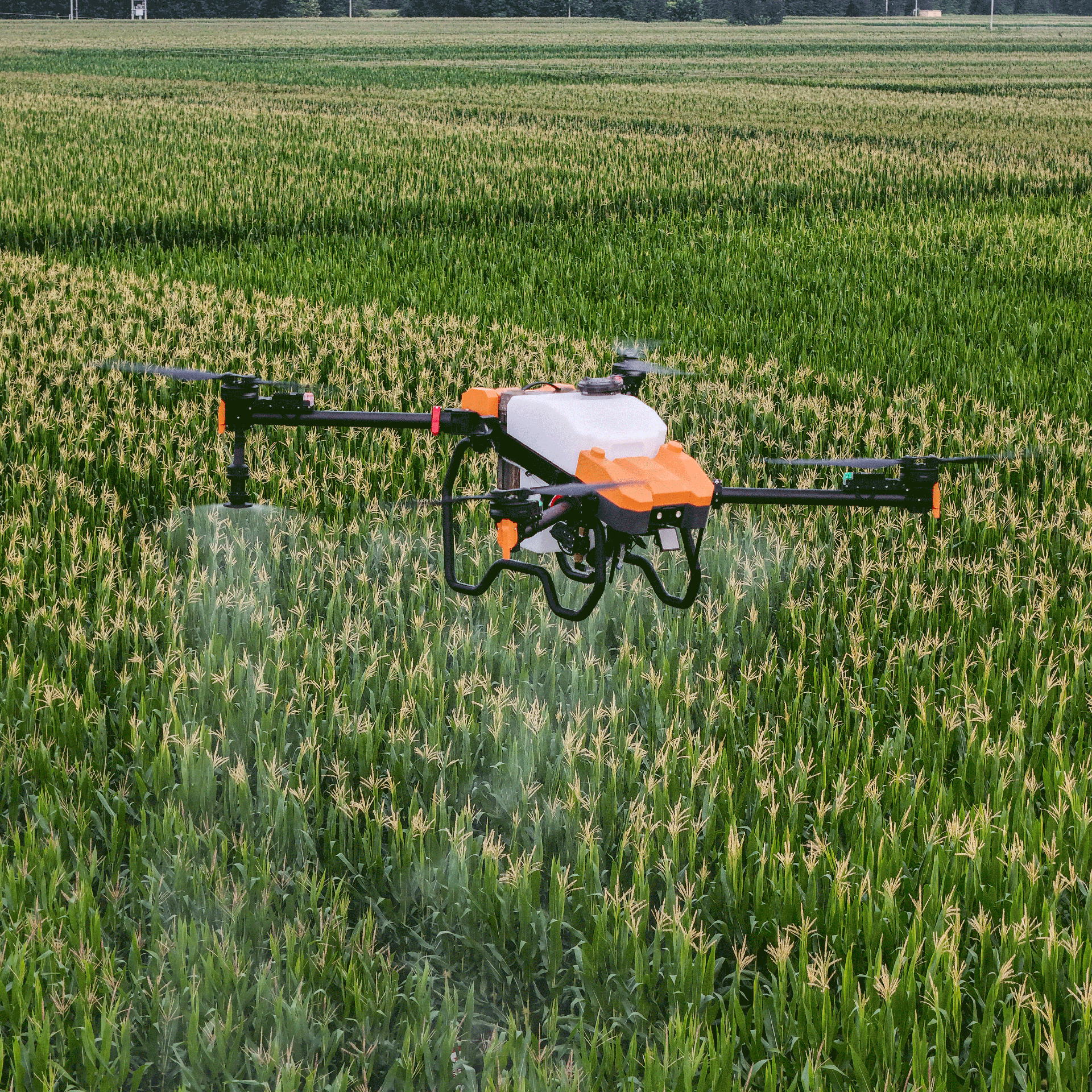 Drone View 3