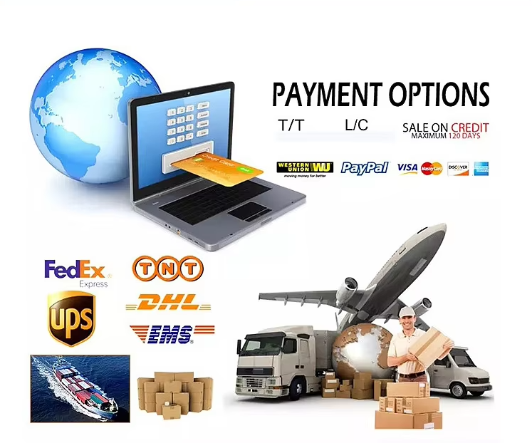 Payment Methods and Shipping Options