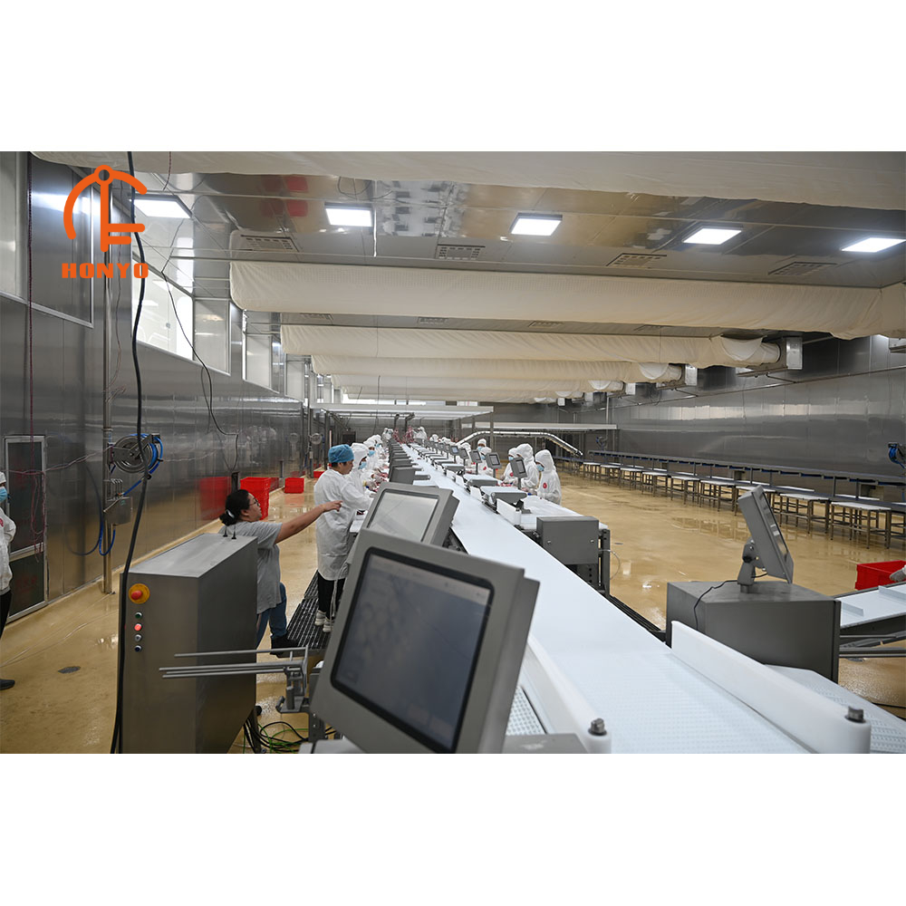 Portioning Line Step 2