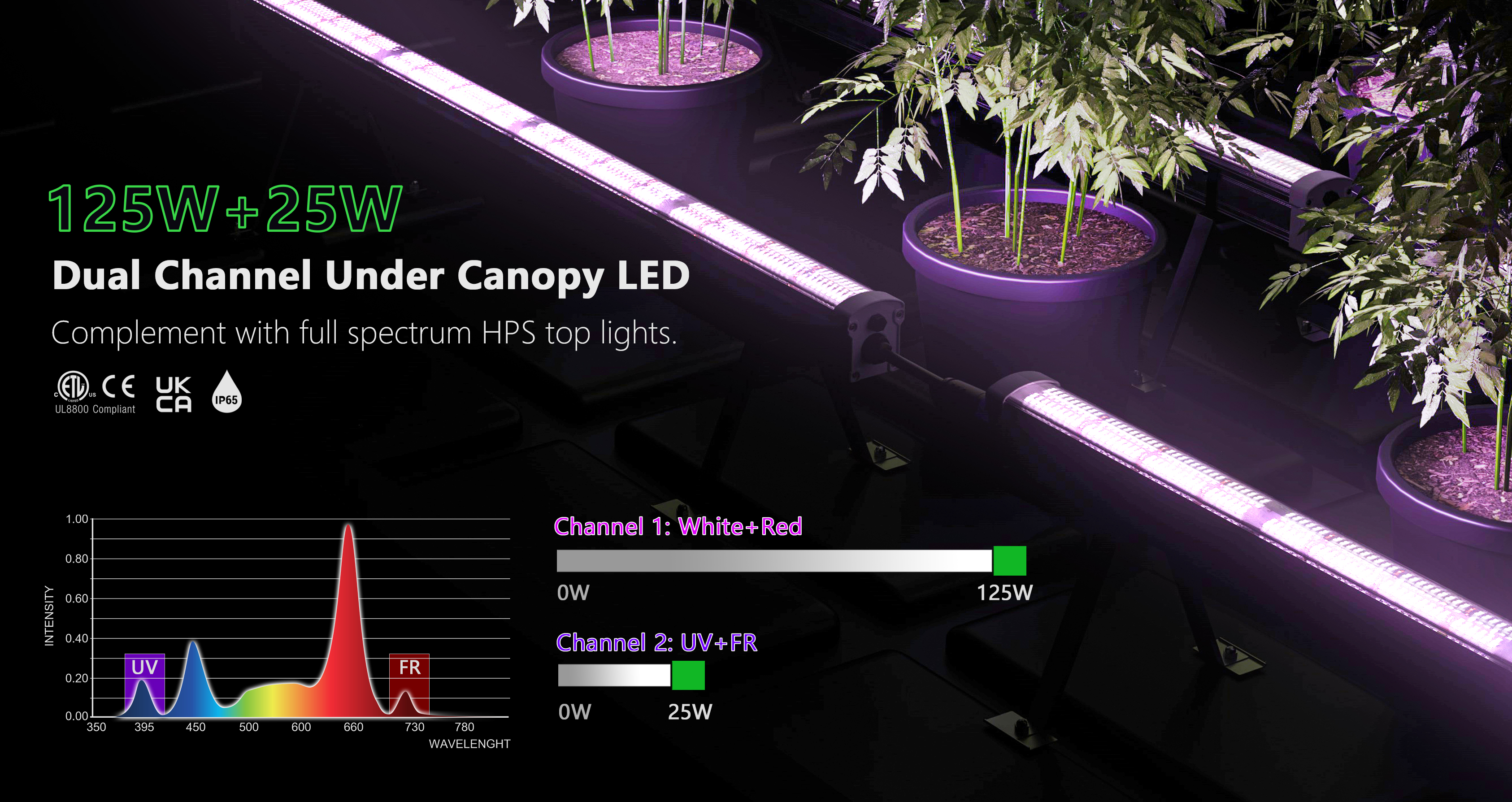 Product Description Image 5