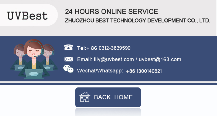 Footer Banner Graphic