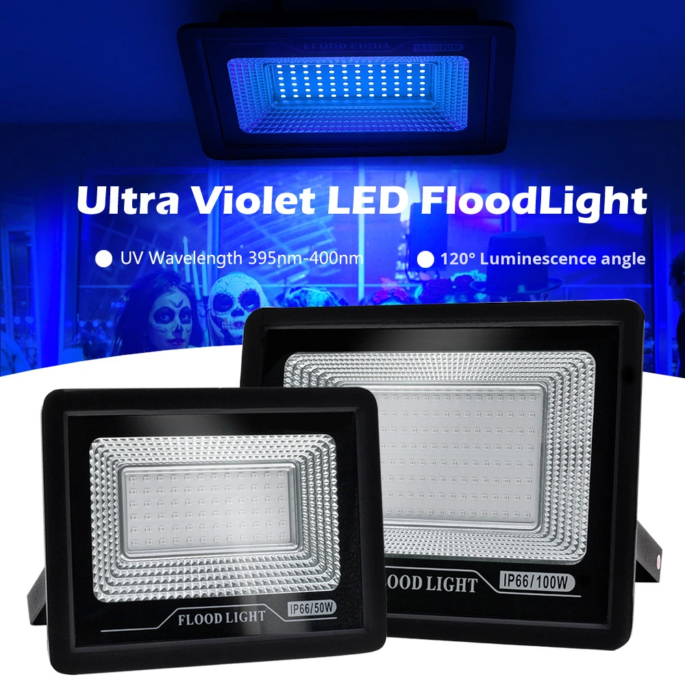 Raylights UV Curing Lamp 395nm Fluorescent Detection Shadowless Glue LED Purple Light Floodlight Aluminum 220V 50000 Hours