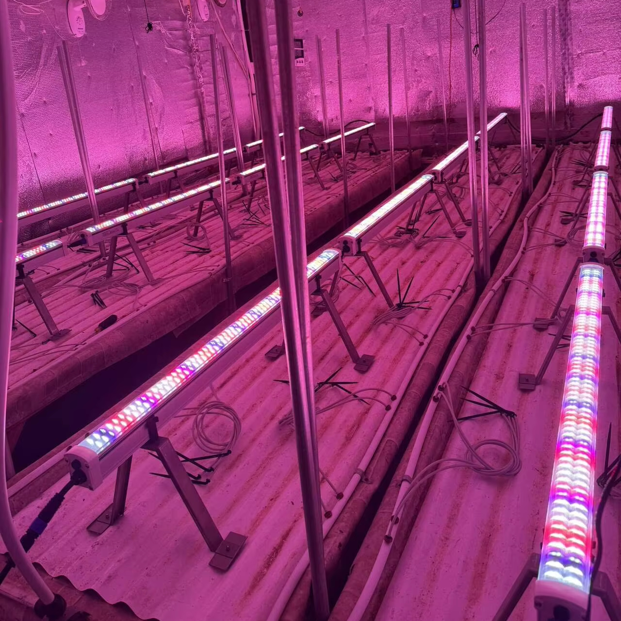 UCL Dual Channel 4FT 125W+25W Canopy LED High RED FAR RED UV Bloom Light IP65 Boost20-30% Harvest For Growing Daisy-Chained