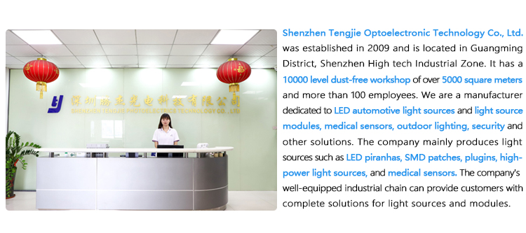 Company Overview