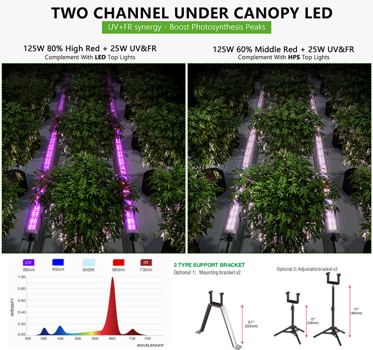 UCL Dual Channel 4FT 125W+25W Canopy LED High RED FAR RED UV Bloom Light IP65 Boost20-30% Harvest For Growing Daisy-Chained