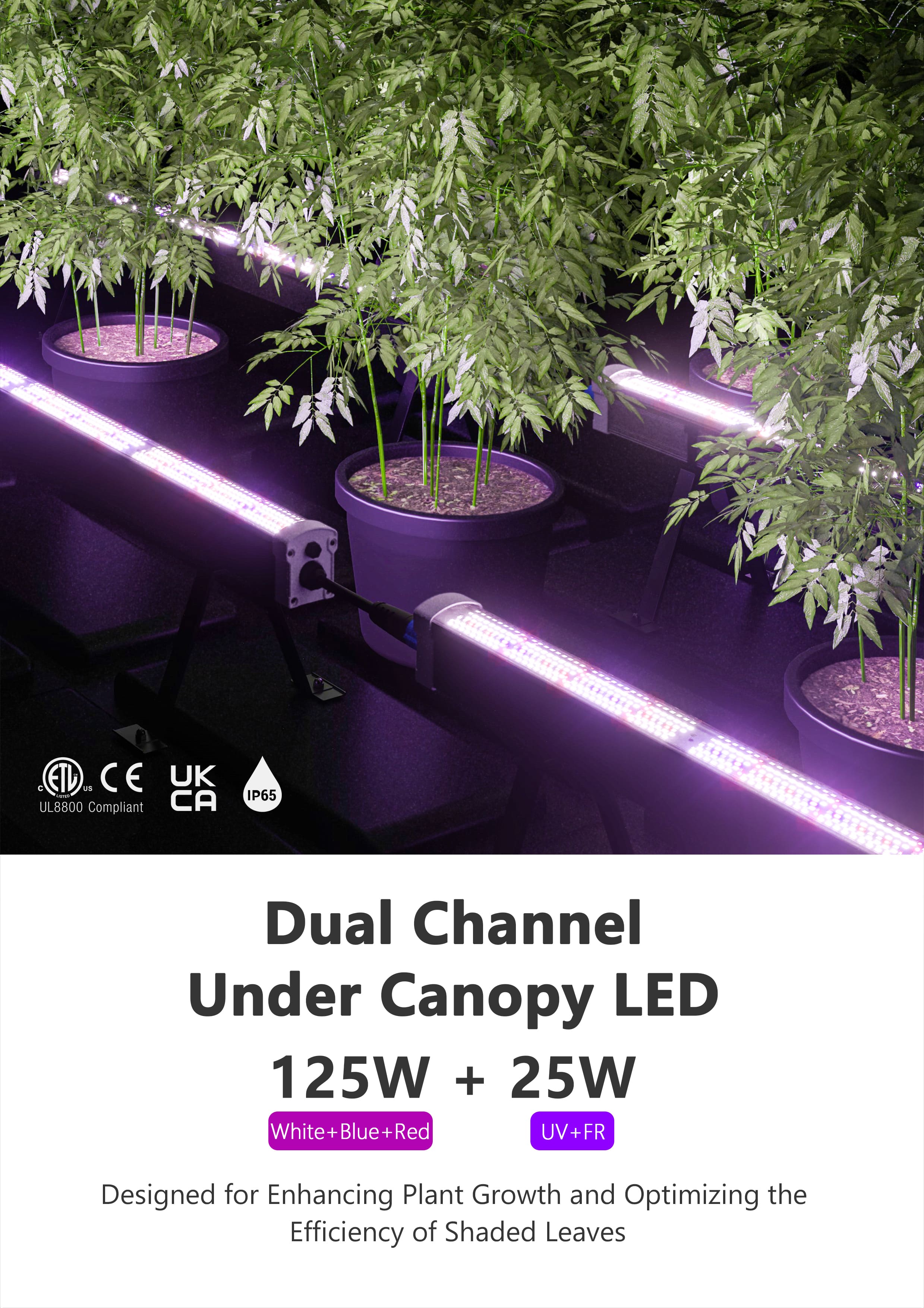 Product Description Image 1