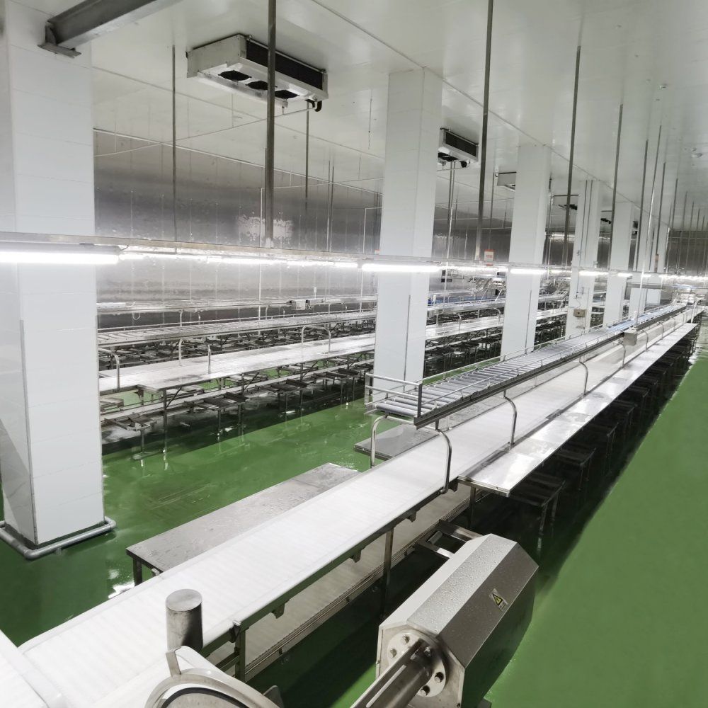 Industrial PVC/PU Conveyor System For Production Line