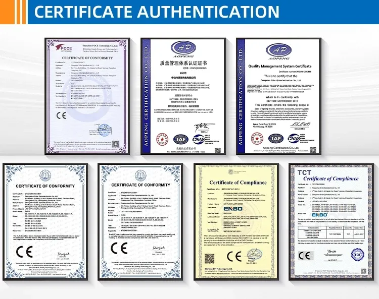 CE and ROHS Certifications for Curing Equipment