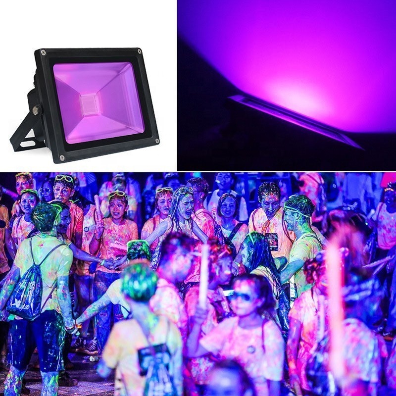 IP65 Outdoor Lighting 10W 50W 150W 500W 100W 360nm 365nm 385nm 395nm 405nm Curing Black Flood Light Purple Color UV LED Lamp