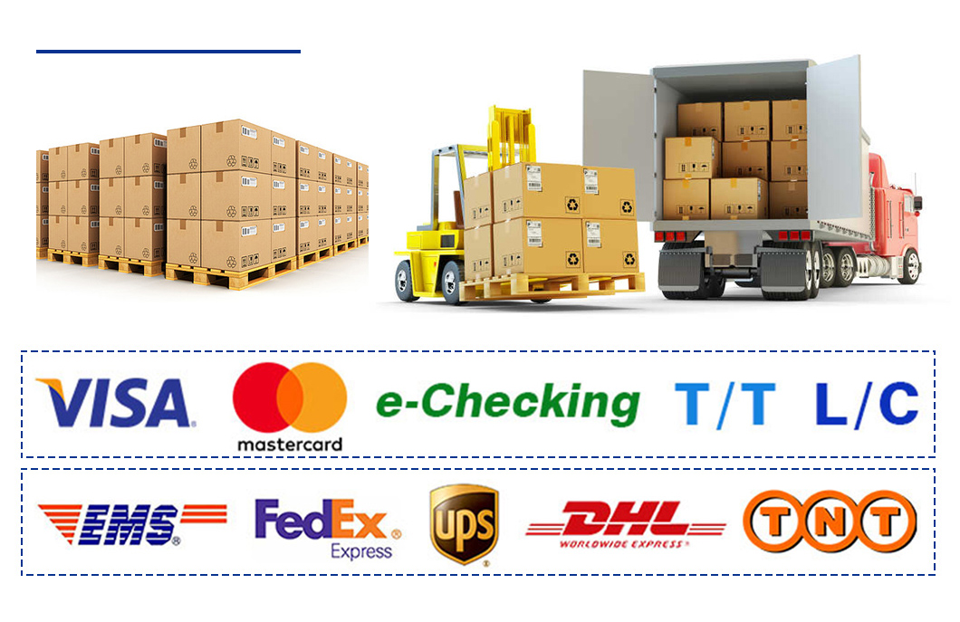 Shipping Logistics