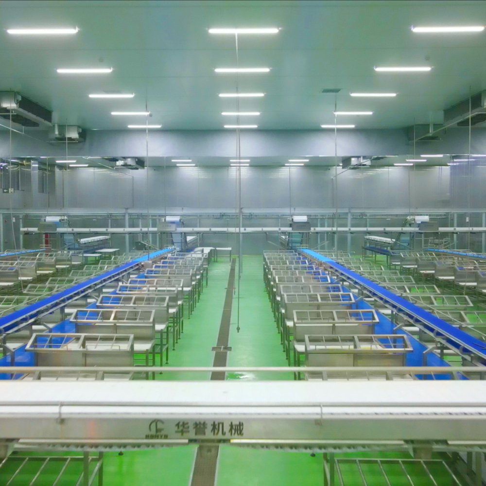 Industrial PVC/PU Conveyor System For Production Line