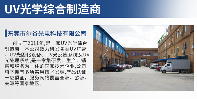 Company Overview 1