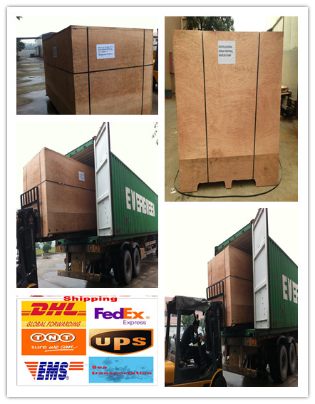 Shipping Logistics