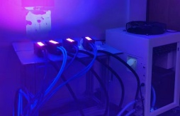 Hand Held Led