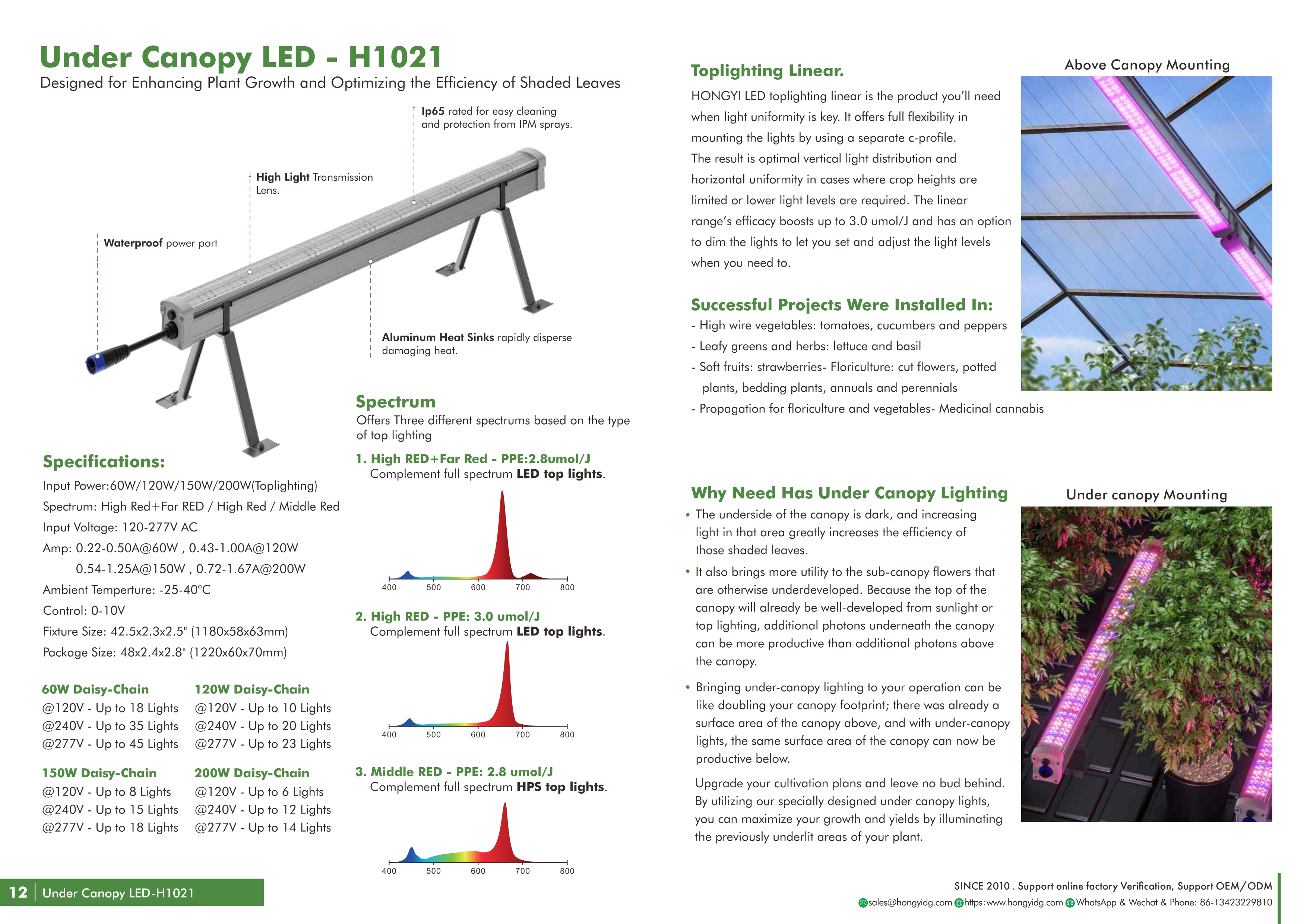 Related Product 1